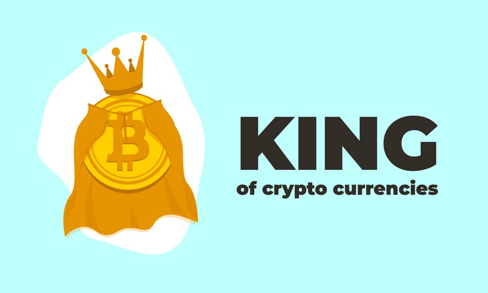 Bitcoin Bids To Become The Crypto King