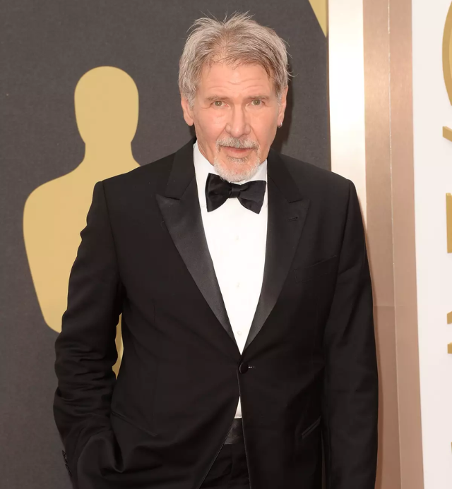 Harrison Ford’s Net Worth: A Diversified Portfolio of Earnings, Investments, and Assets