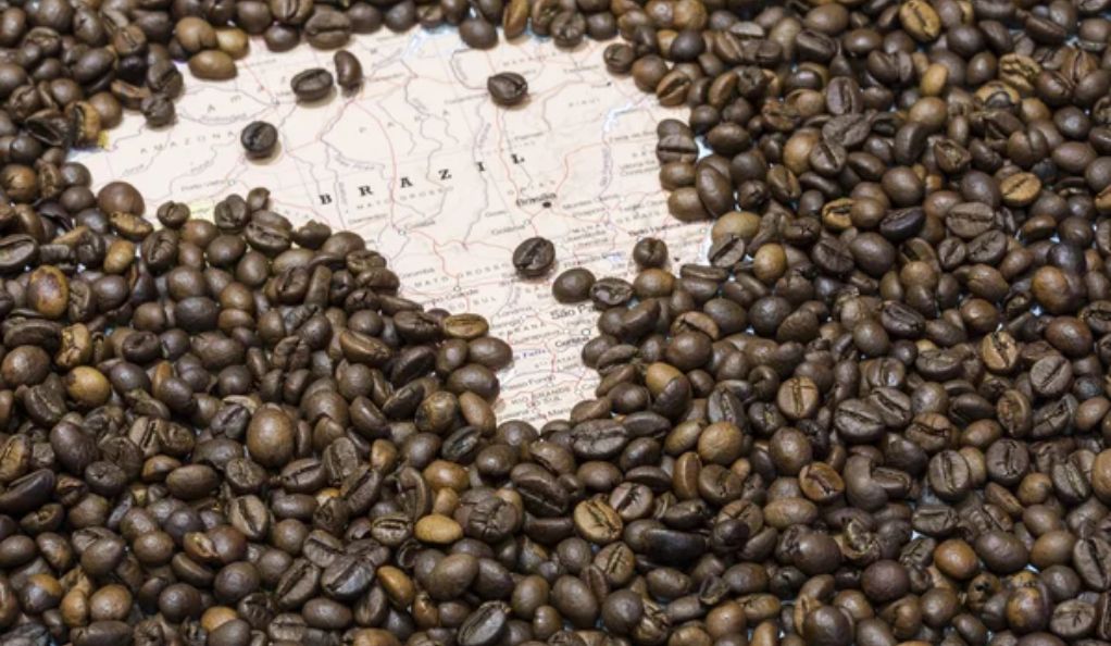 Arabica Coffee Plummets 8.8% in Week