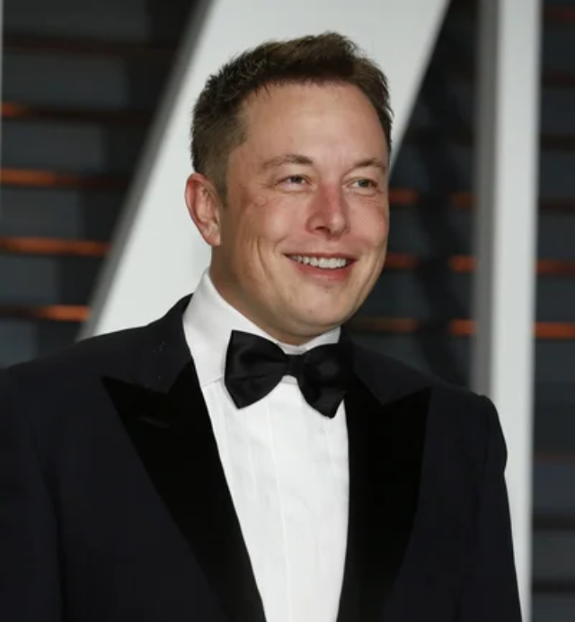 Elon Musk Nettovermögen