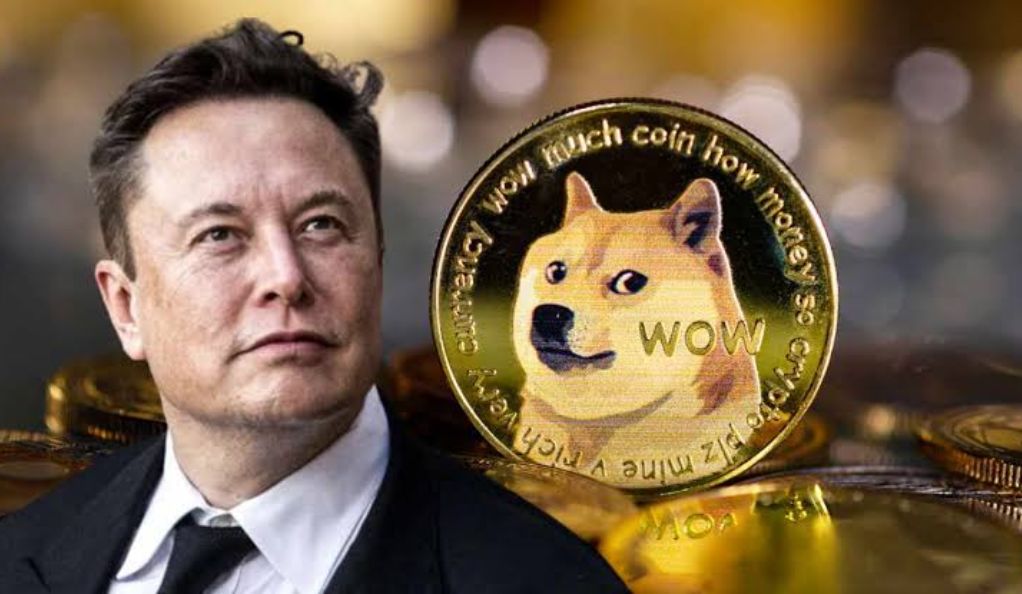 Musk’s Mighty Defense: Dogecoin Lawsuit and the Attorney Insult